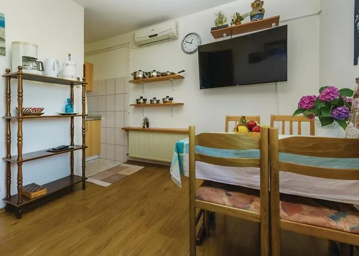 With A Parking Space Novigrad - 14408 Appartamento *